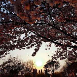 学生精品videosex极品
